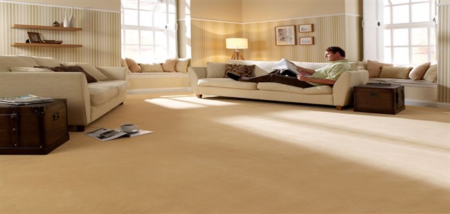 plain carpet
