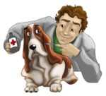 pet care - caring pets