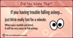 Interesting Facts Cards 12