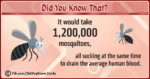 Interesting Facts Cards 17