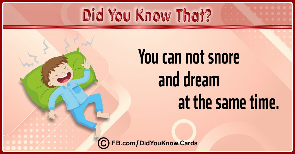 Interesting Facts Cards 19