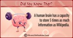 Intriguing Facts Cards 21