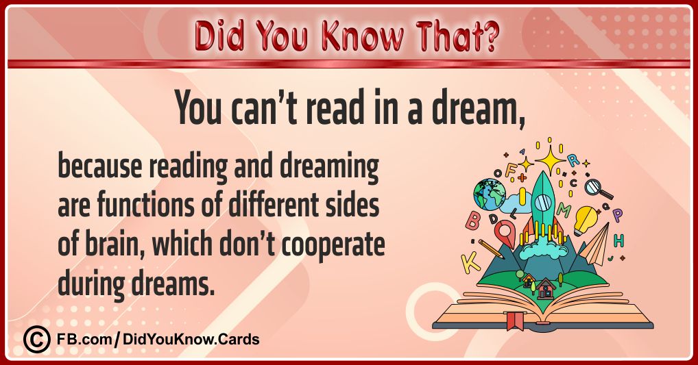 Intriguing Facts Cards 23