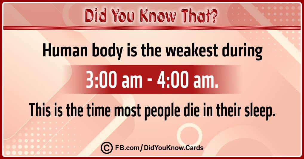 Intriguing Facts Cards 29