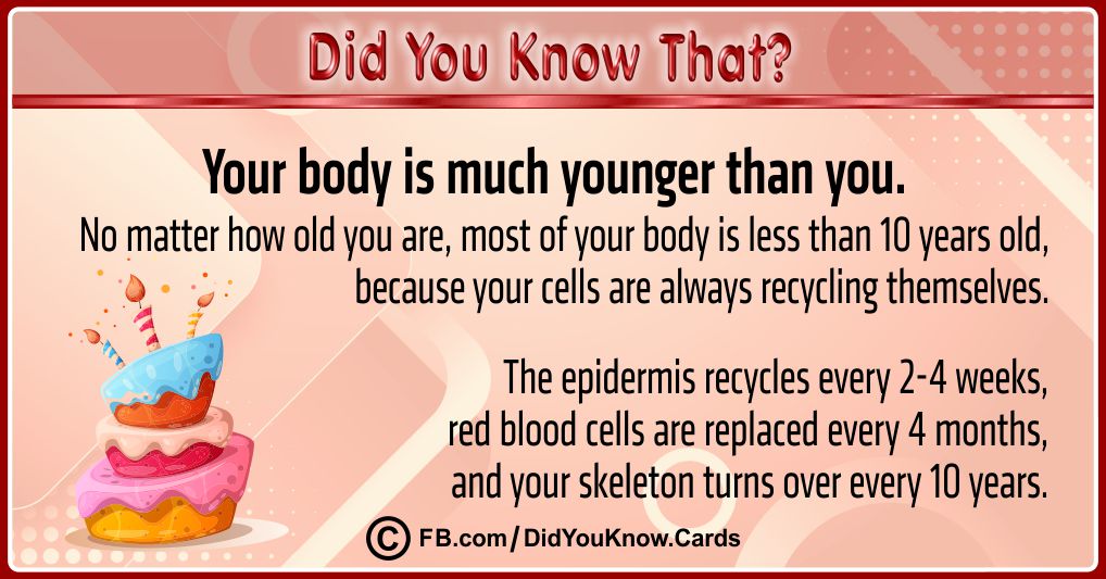 Intriguing Facts Cards 41