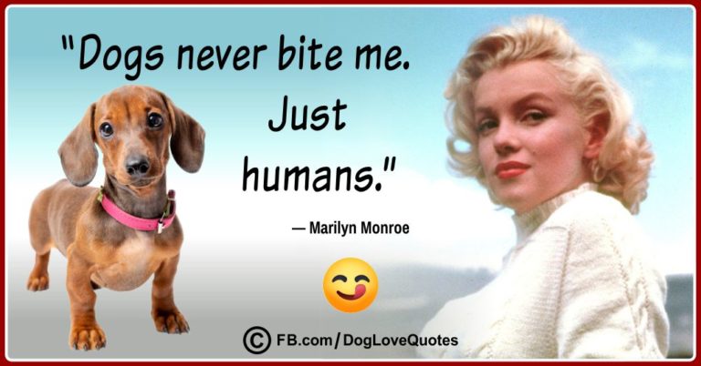 20-funny-dog-lover-quotes