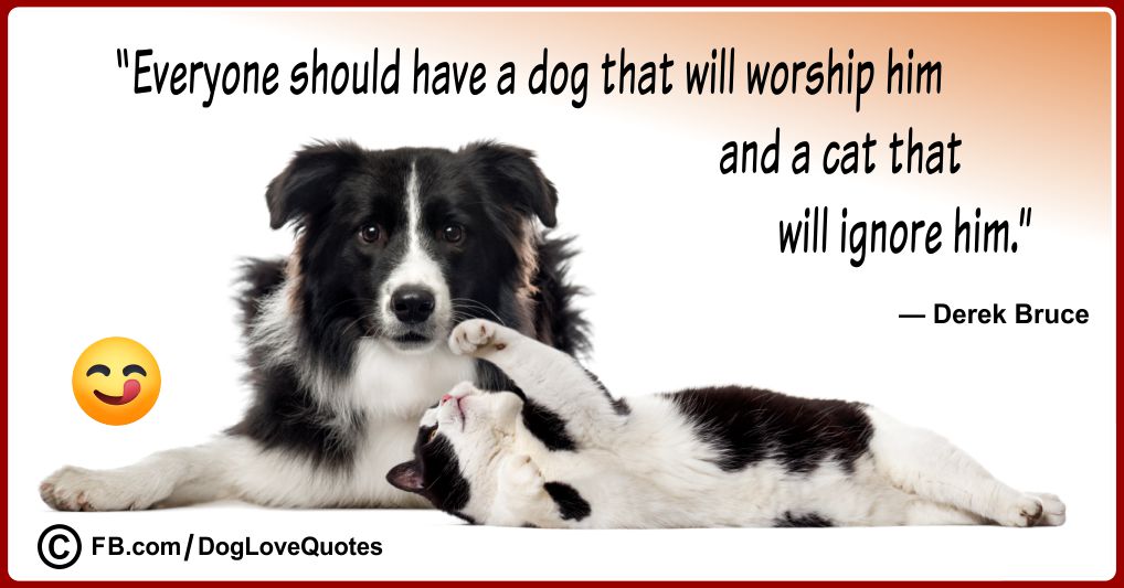 Funny Dog Lover Quotes 02