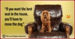Funny Dog Lover Quotes 04