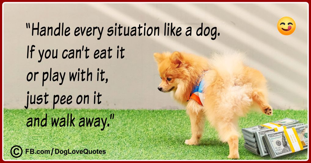 Funny Dog Lover Quotes 05