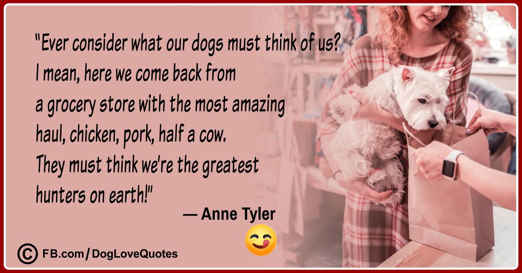 Funny Dog Lover Quotes 06