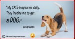 Funny Dog Lover Quotes 08
