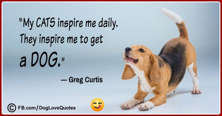 20-funny-dog-lover-quotes