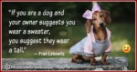 Funny Dog Lover Quotes 09