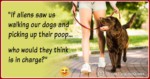 Funny Dog Lover Quotes 10