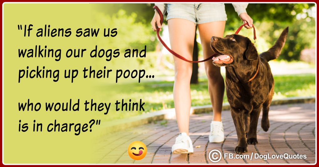 Funny Dog Lover Quotes 10