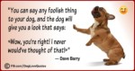Funny Dog Lover Quotes 11
