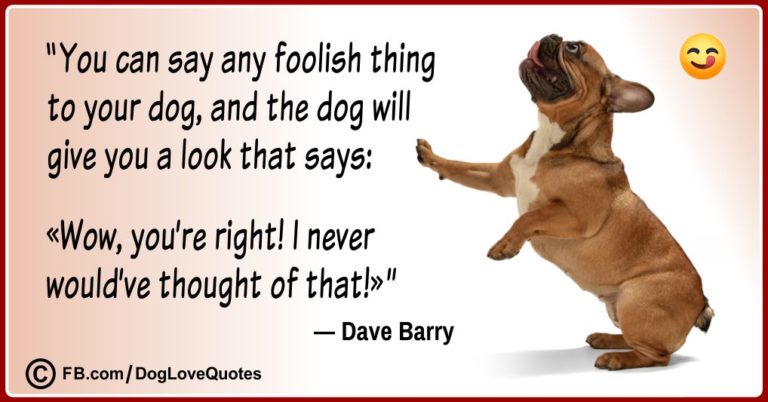 20-funny-dog-lover-quotes