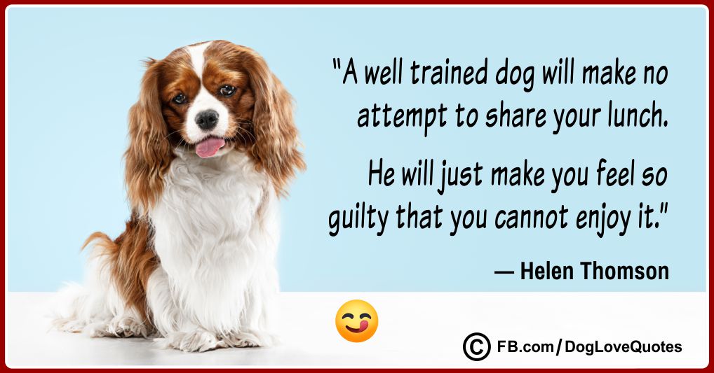 Funny Dog Lover Quotes 13