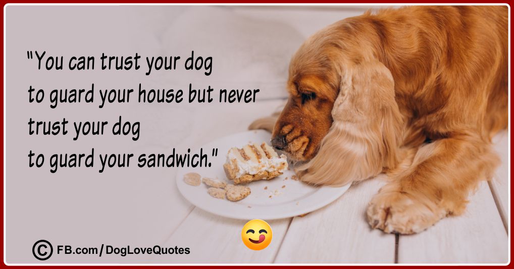 Funny Dog Lover Quotes 14