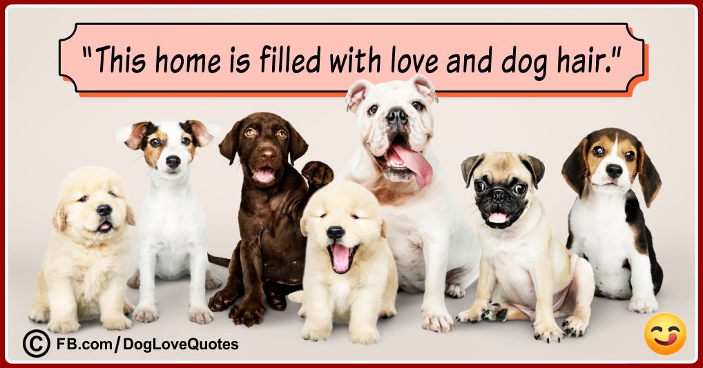 Funny Dog Lover Quotes 15