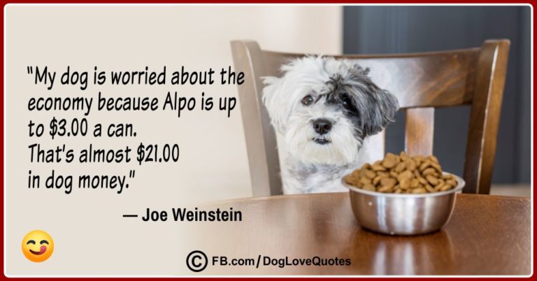 20-funny-dog-lover-quotes