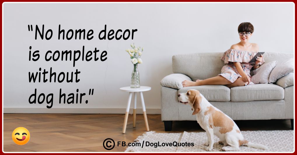 Funny Dog Lover Quotes 20