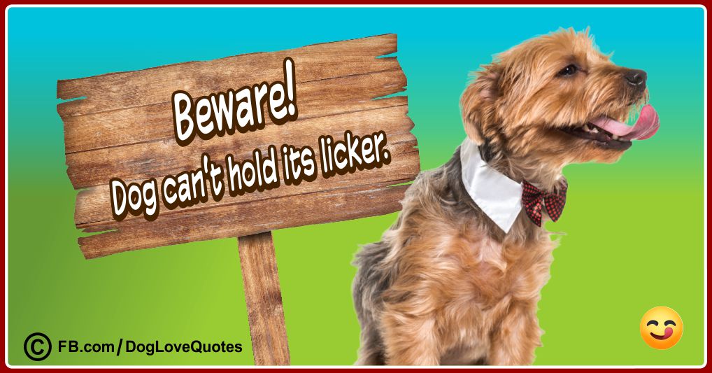 Funny Dog Owner Quotes 21