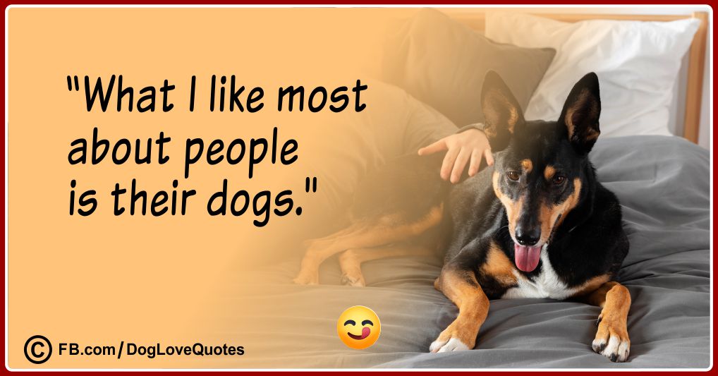 Funny Dog Owner Quotes 22