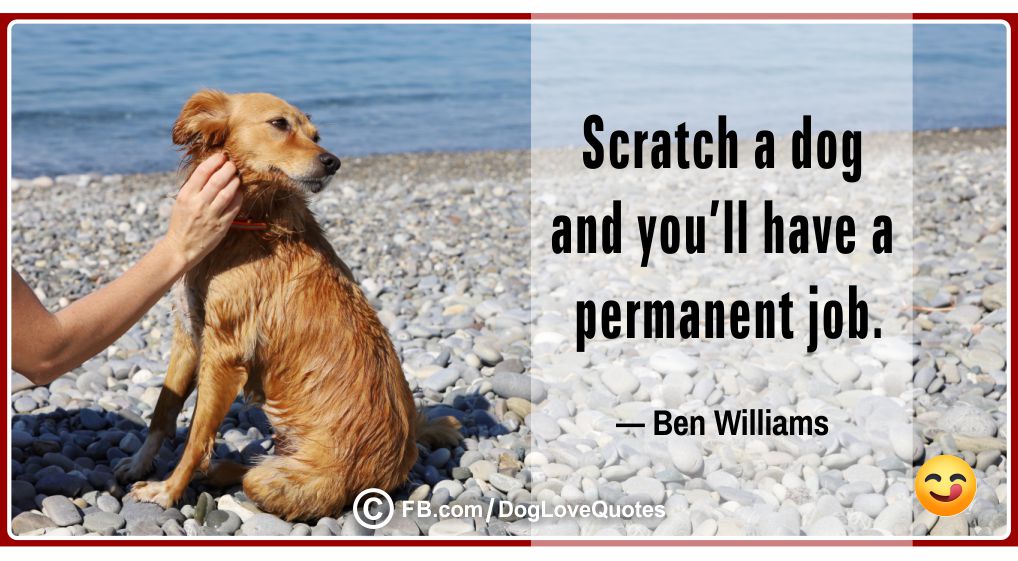 Dog Owner Quotes