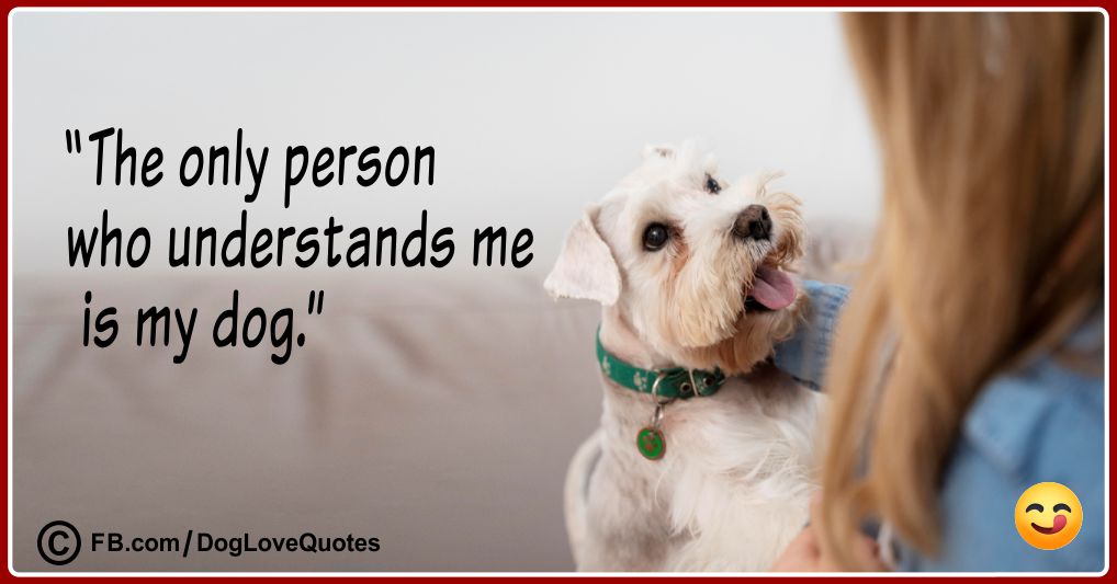 Funny Dog Owner Quotes 24
