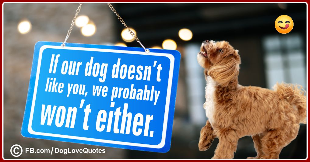 Funny Dog Owner Quotes 25