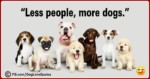 Funny Dog Owner Quotes 26