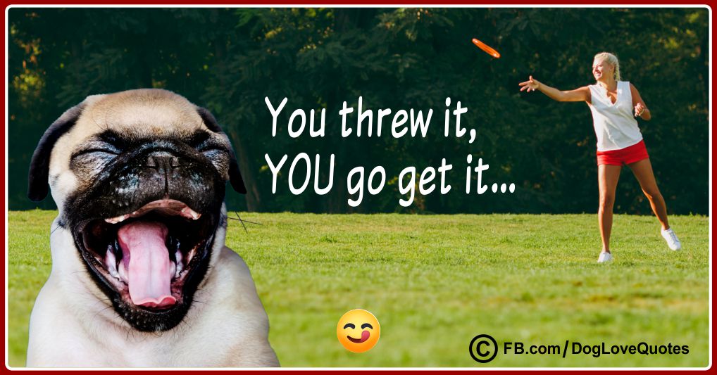 Funny Dog Owner Quotes 30