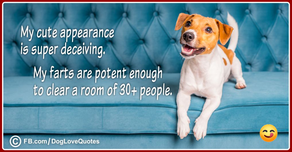 Funny Dog Owner Quotes 34