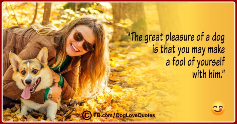 23-funny-dog-owner-quotes