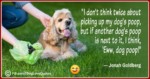 Funny Dog Owner Quotes 39