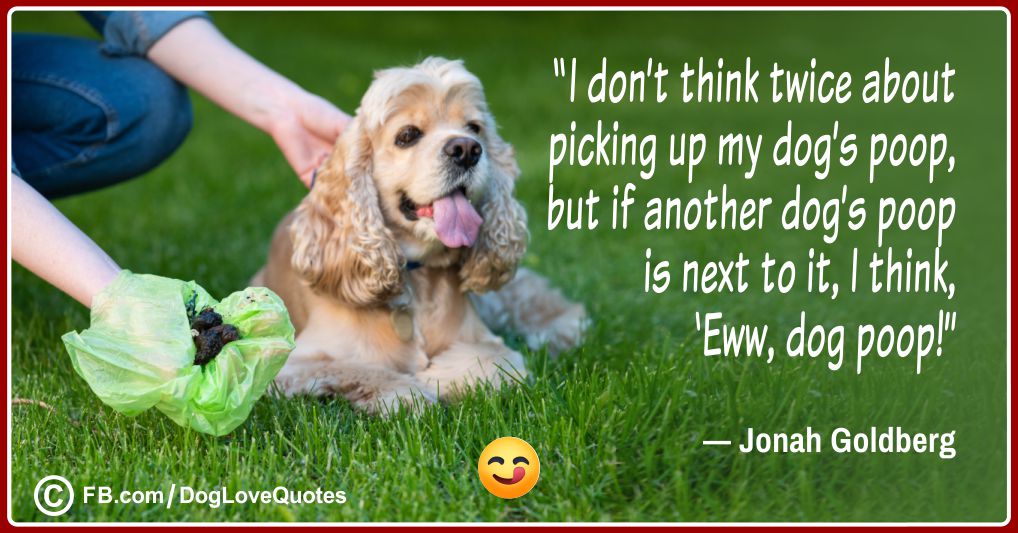 Dog Owner Quote