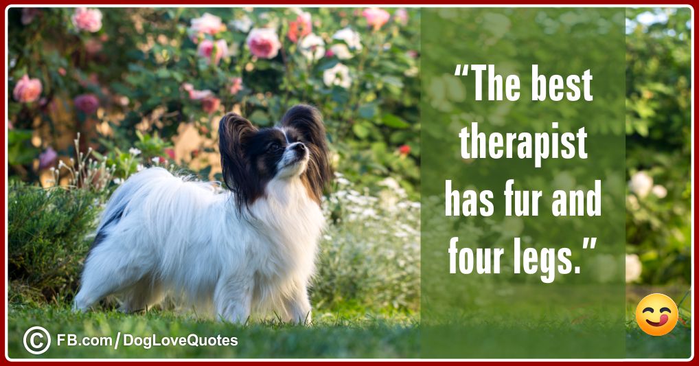 Funny Dog Lover Quotes