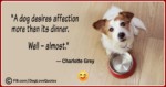 Funny Dog Owner Quotes 42