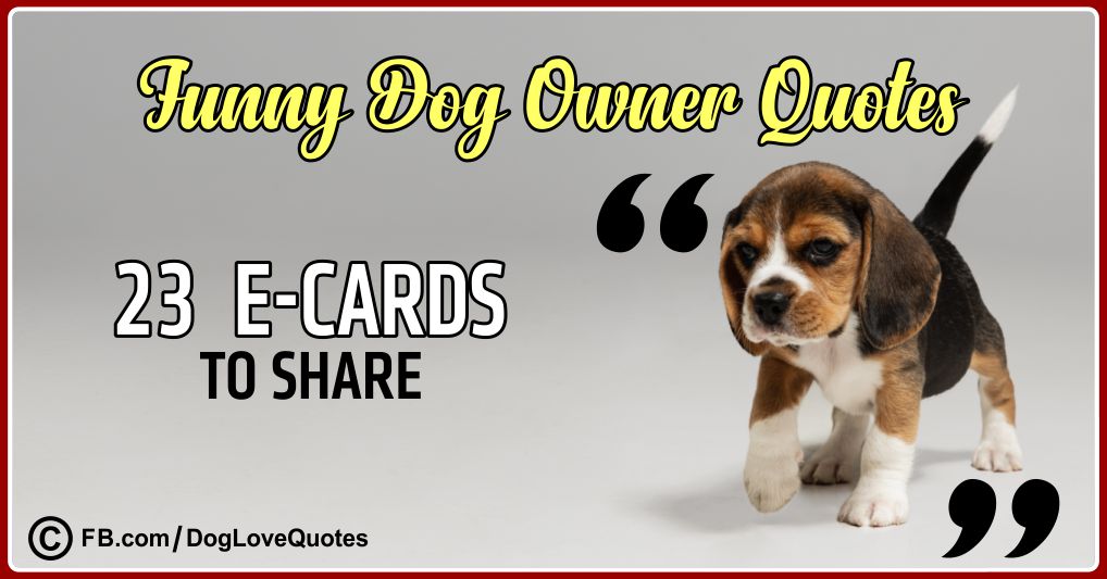 23 Funny Dog Owner Quotes