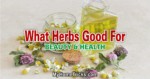 Herbs for Health and Beauty 1