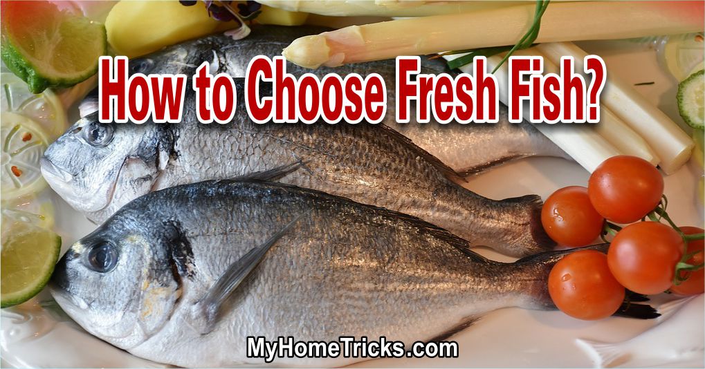 How to Choose Fresh Fish?
