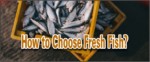 Choose Fresh Fish