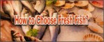 Choosing Fresh Fish