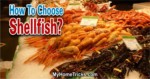 how to choose shellfish