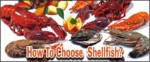 choosing shellfish