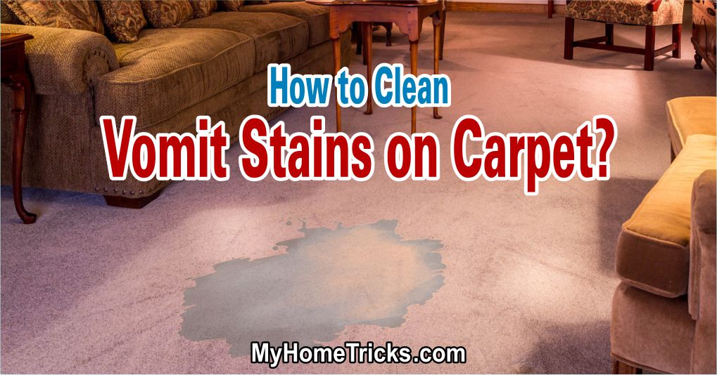 How to Clean Vomit Stains on Carpet?
