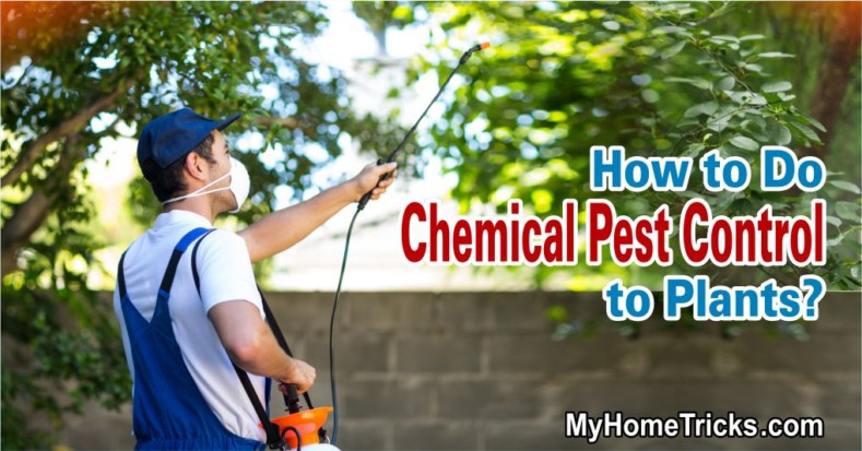 Chemical Pest Control to Plants