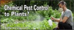 how to do chemical pest control