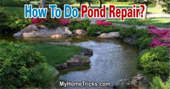How To Do Pond Repair 1